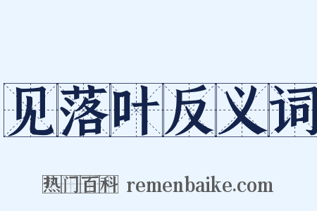 见落叶反义词是什么意思的图片